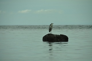 DSC_0998.jpg