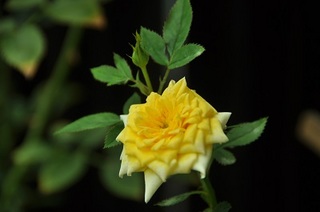 DSC_1058.jpg