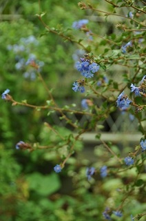 DSC_1065.jpg