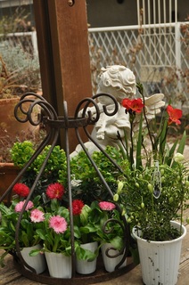 DSC_1326.jpg