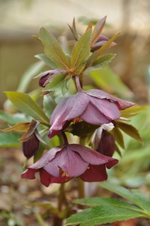 DSC_1441.jpg