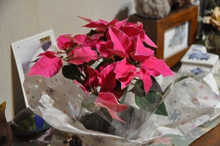 DSC_1620.jpg