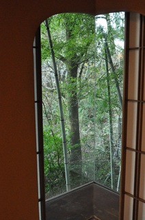 DSC_1667.jpg