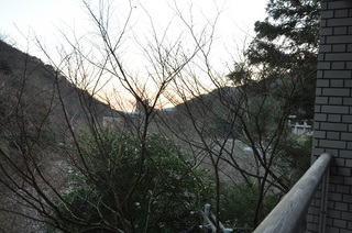 DSC_1687.jpg