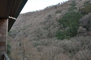 DSC_1688.jpg