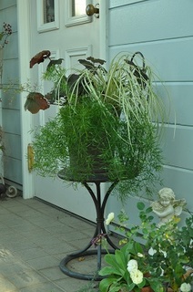 DSC_1830.jpg