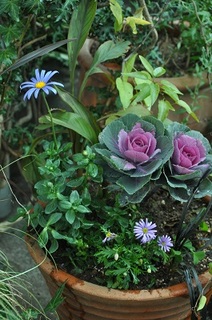 DSC_1842.jpg