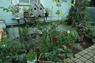 DSC_1863.jpg