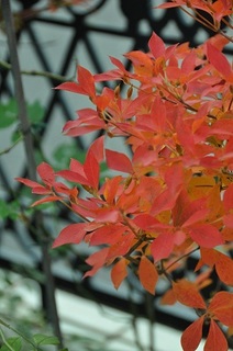 DSC_1870.jpg