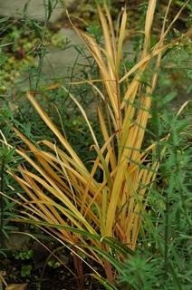 DSC_1892.jpg