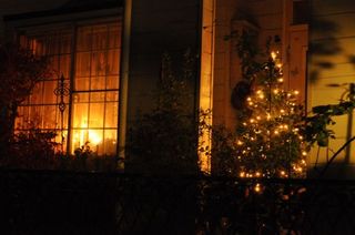 DSC_1893_512.jpg
