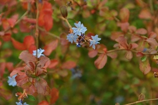 DSC_1909.jpg