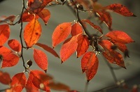 DSC_1912.jpg