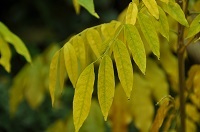 DSC_1914.jpg