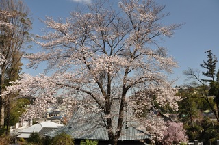 DSC_2374.jpg