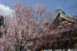 DSC_2400.jpg