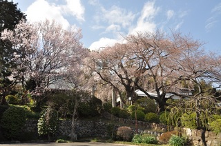 DSC_2421.jpg