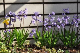 DSC_2428.jpg