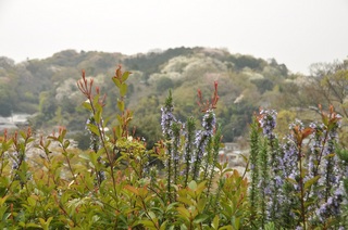 DSC_2630.jpg