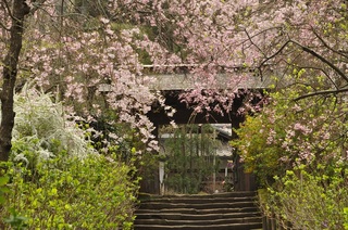DSC_2647.jpg