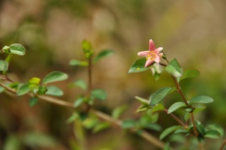 DSC_2700.jpg